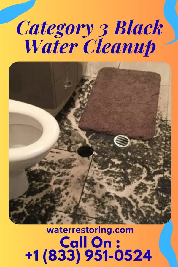 Category 3 Black Water Cleanup in Kalona, IA
