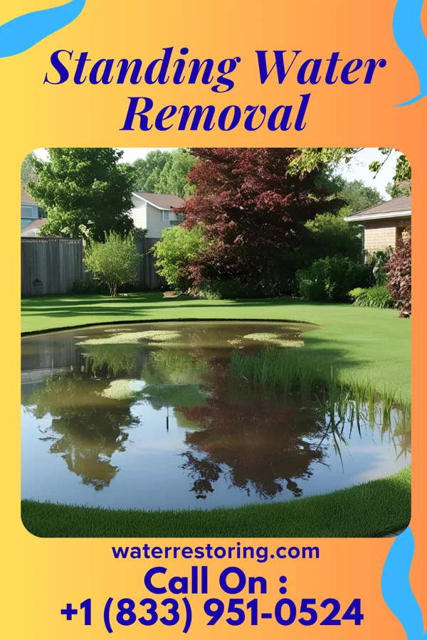Standing Water Removal in Kalona, IA